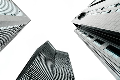 Risk Management